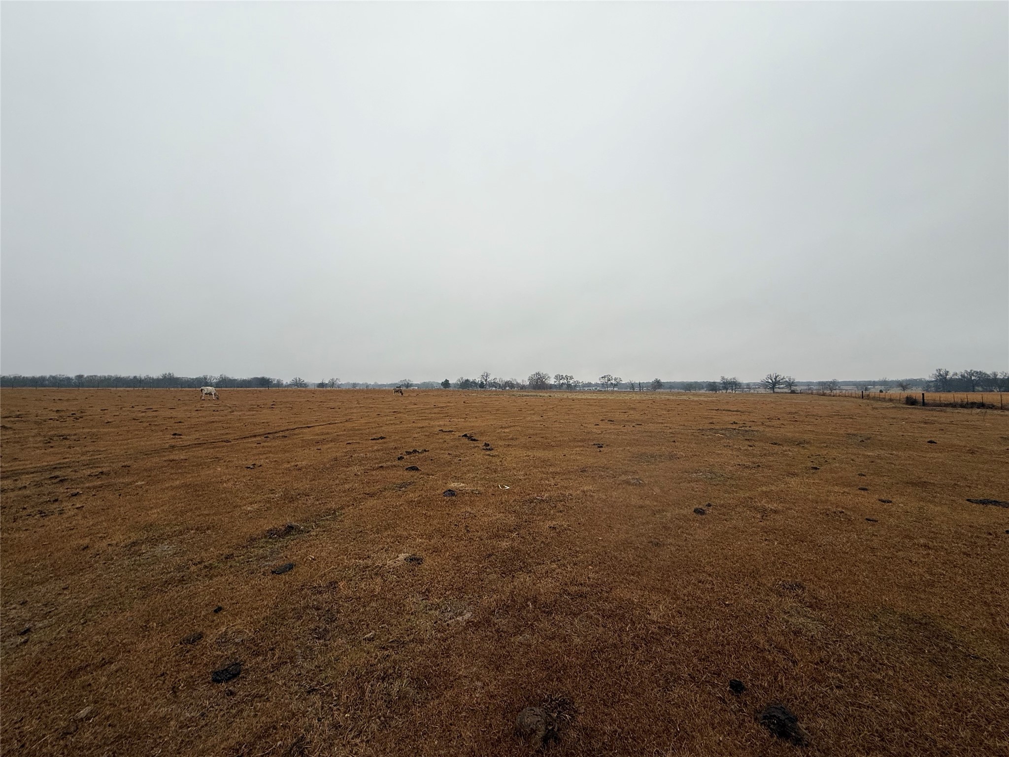505 County Road 1442 Yantis TX 75497