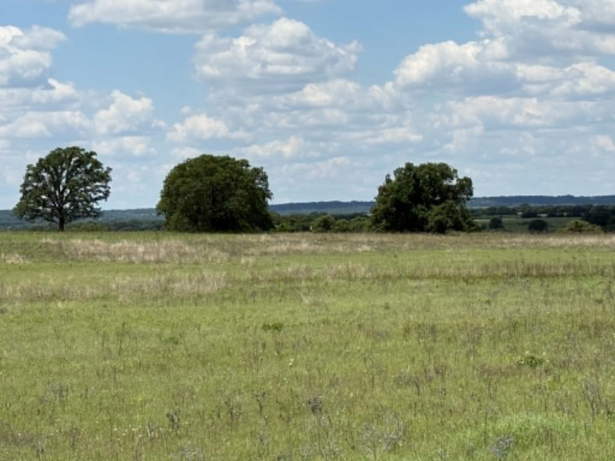 3068 Highway 36 Comanche TX 76442