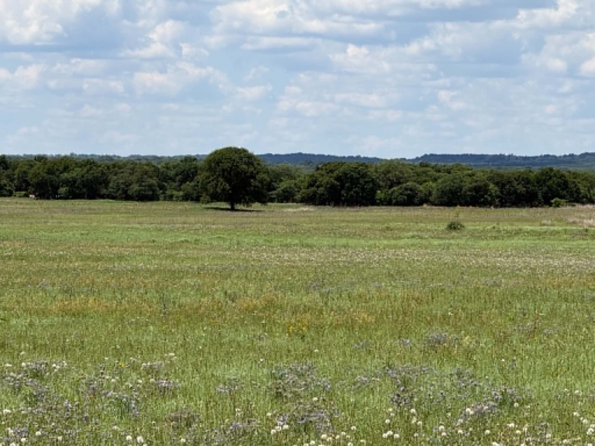 3068 Highway 36 Comanche TX 76442
