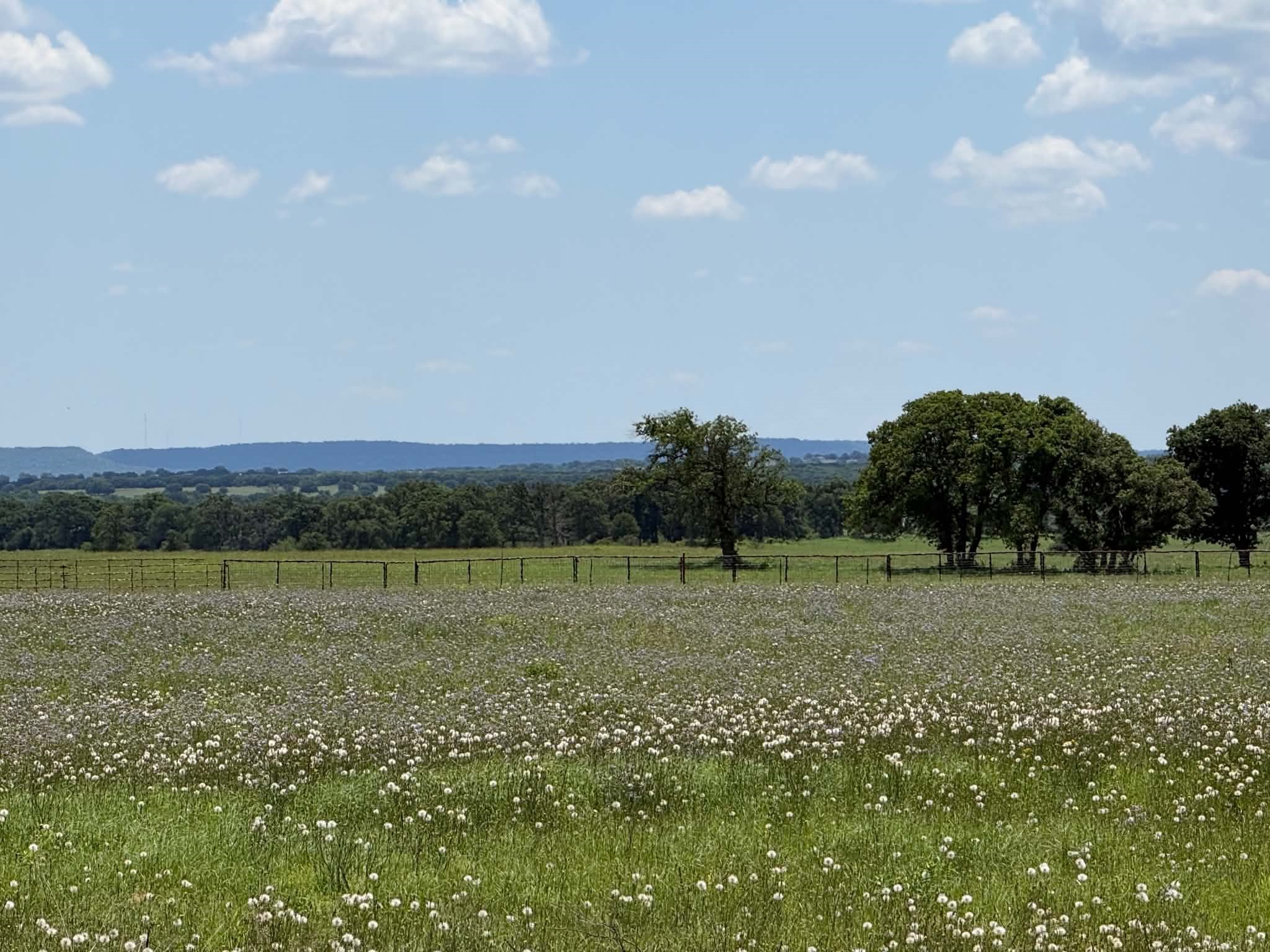 3068 Highway 36 Comanche TX 76442