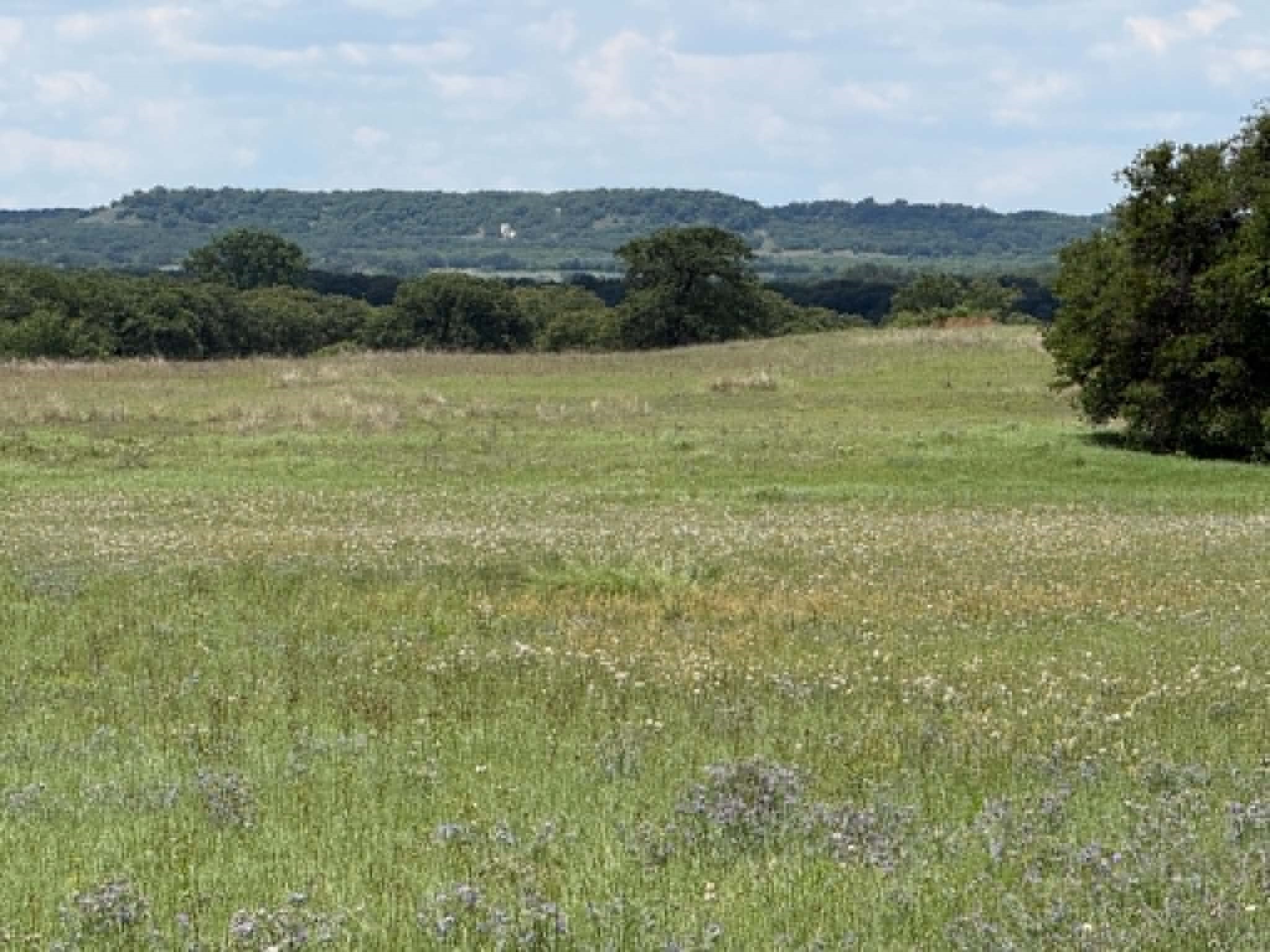 3068 Highway 36 Comanche TX 76442