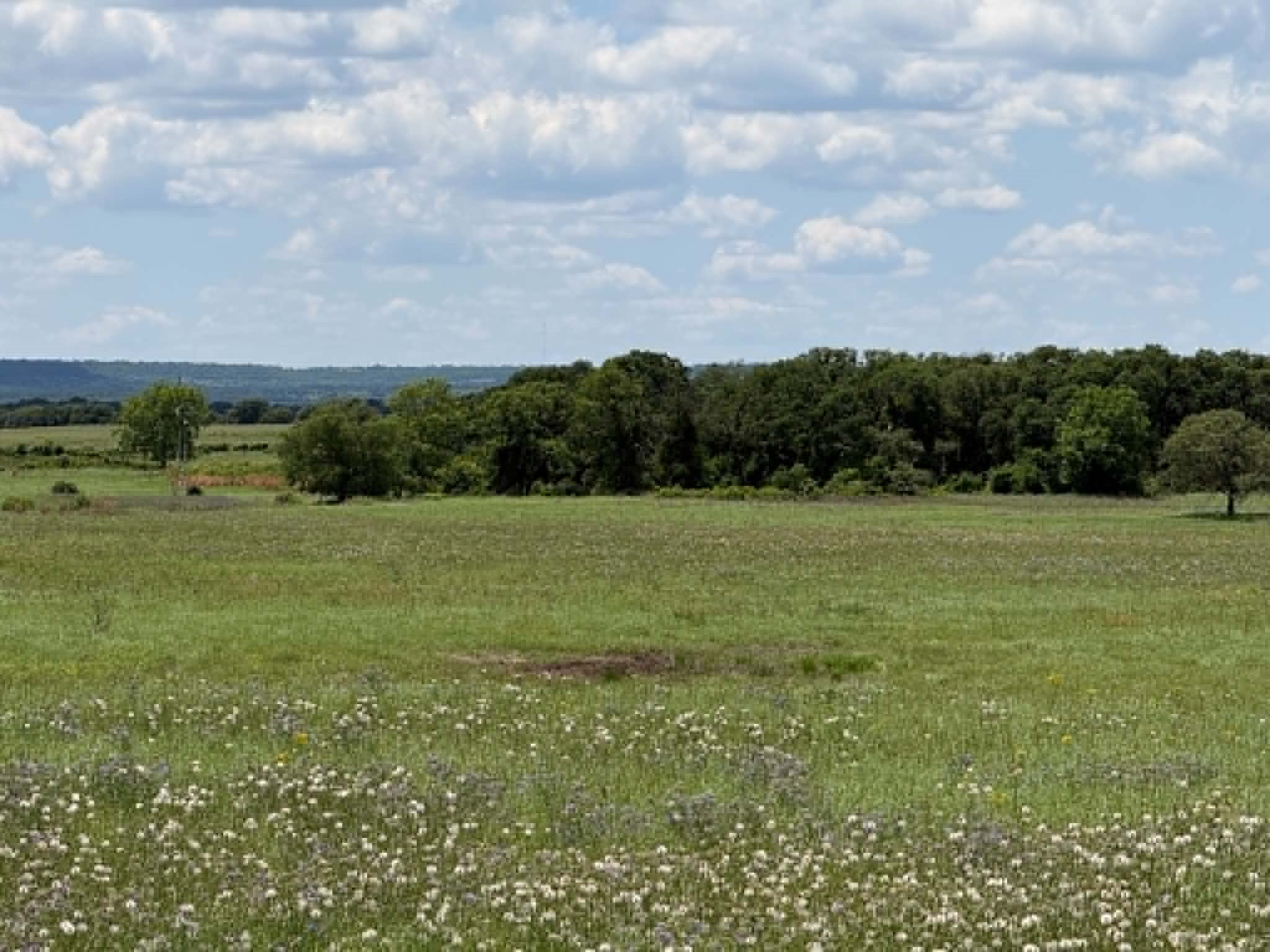 3068 Highway 36 Comanche TX 76442