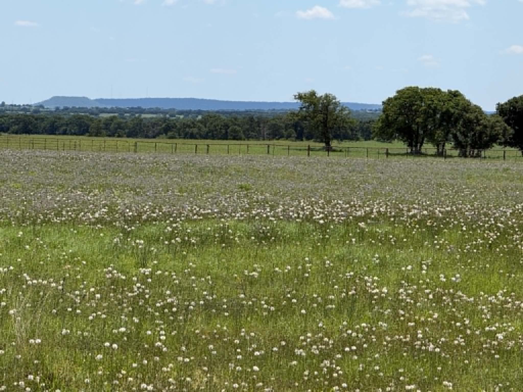 3068 Highway 36 Comanche TX 76442