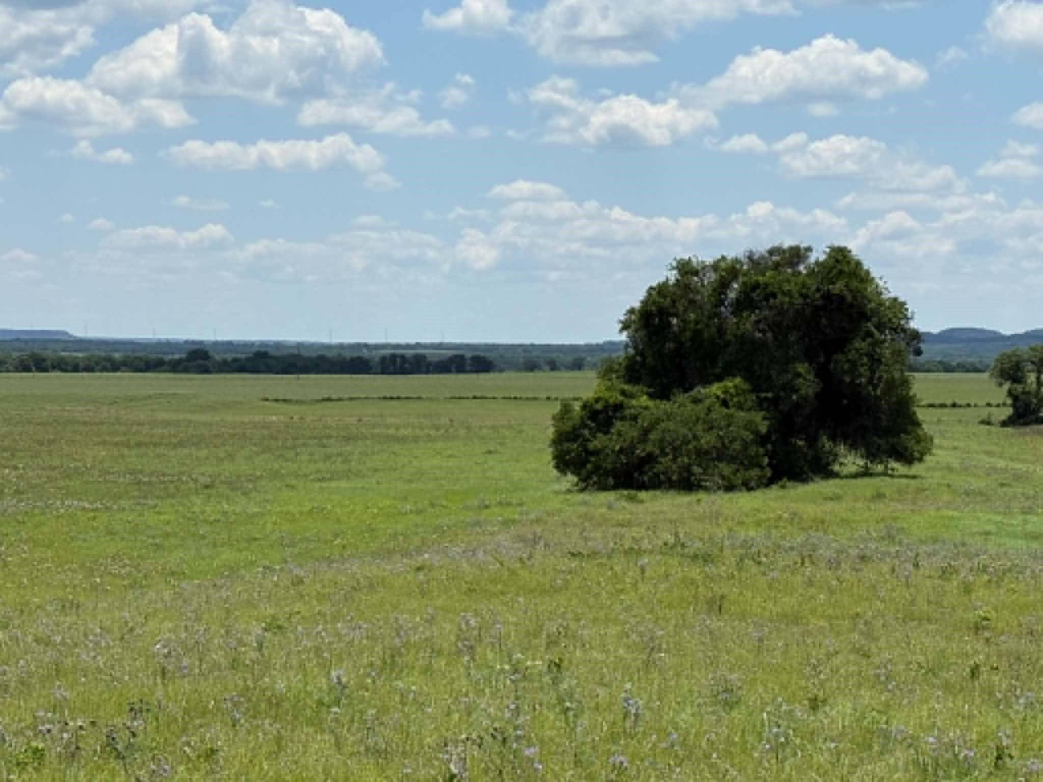 3068 Highway 36 Comanche TX 76442