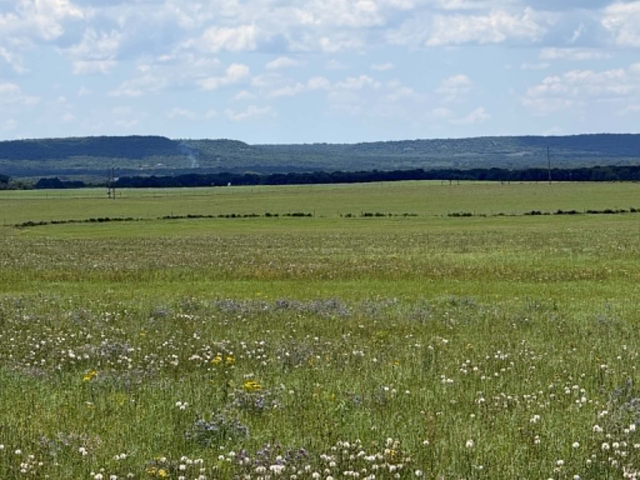 3068 Highway 36 Comanche TX 76442