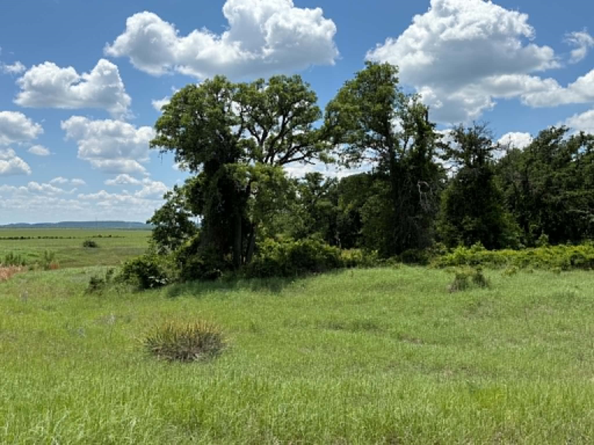 3068 Highway 36 Comanche TX 76442