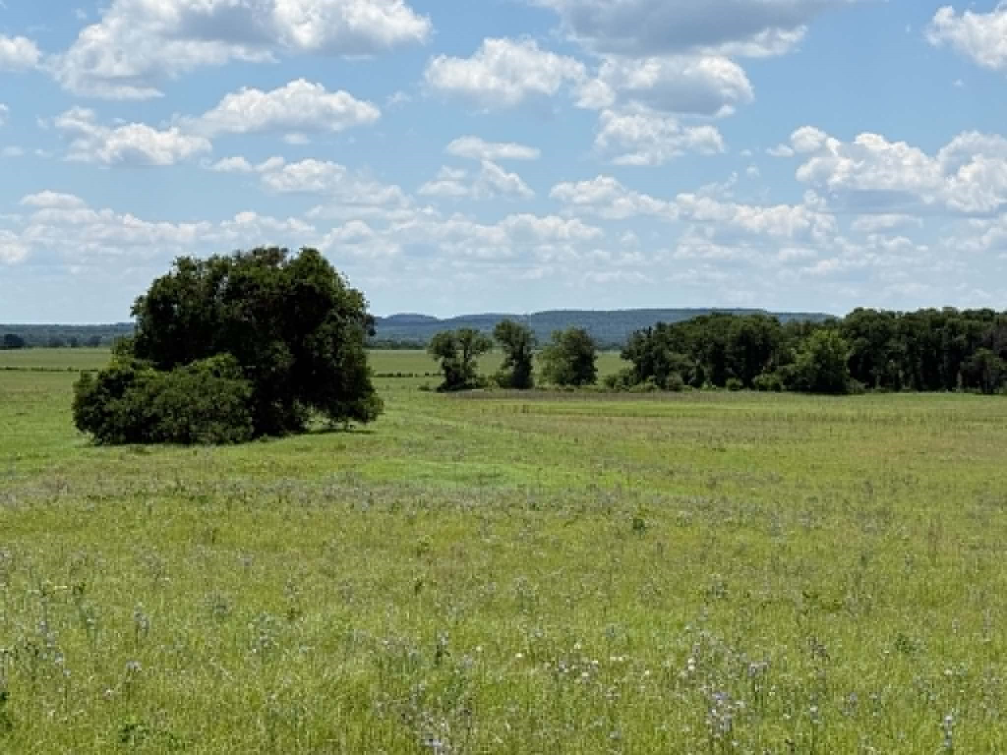 3068 Highway 36 Comanche TX 76442