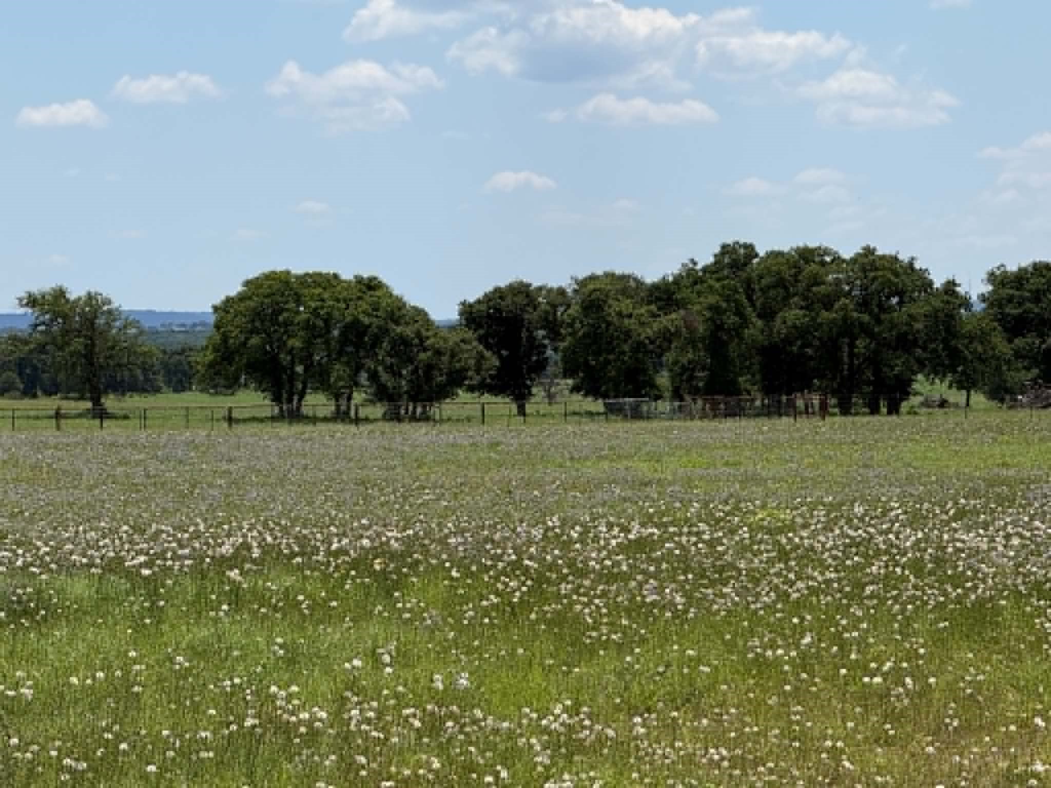 3068 Highway 36 Comanche TX 76442