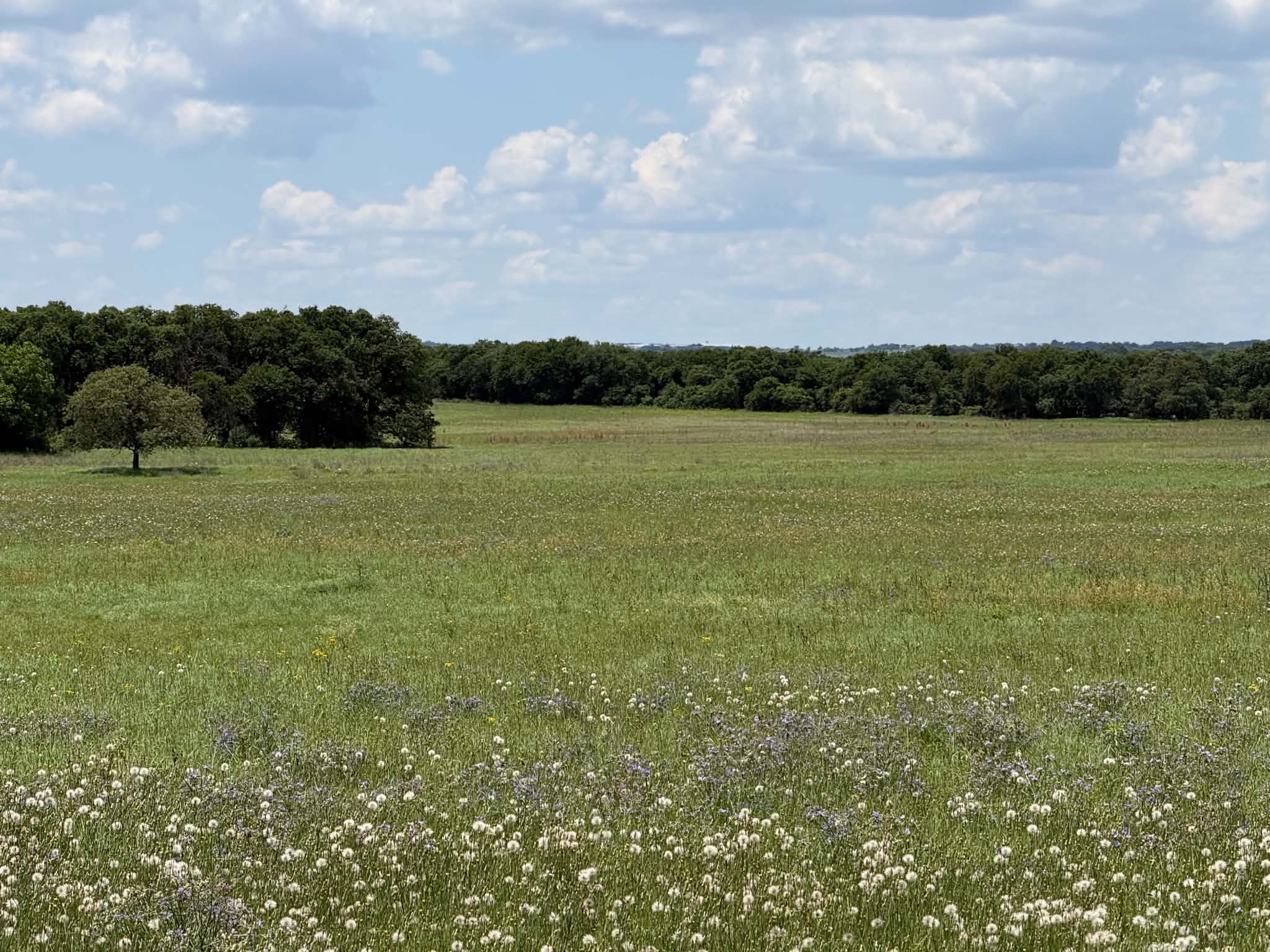 3068 Highway 36 Comanche TX 76442