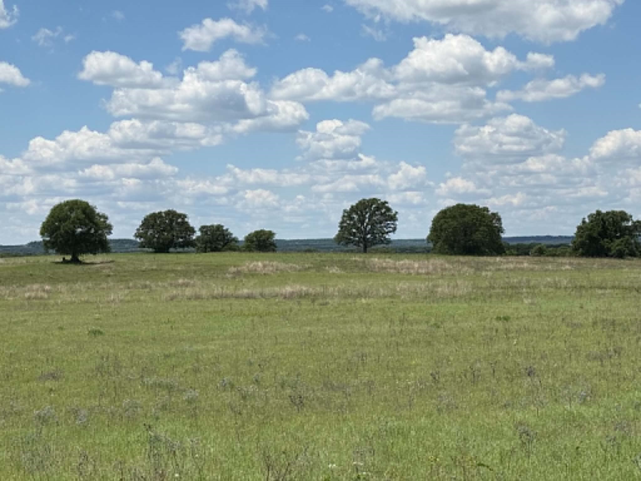 3068 Highway 36 Comanche TX 76442