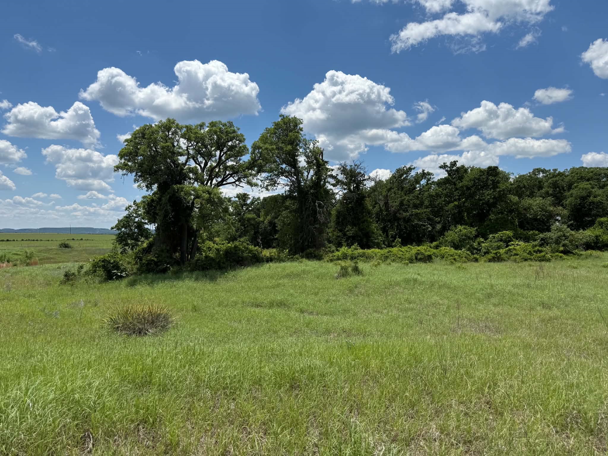 3068 Highway 36 Comanche TX 76442