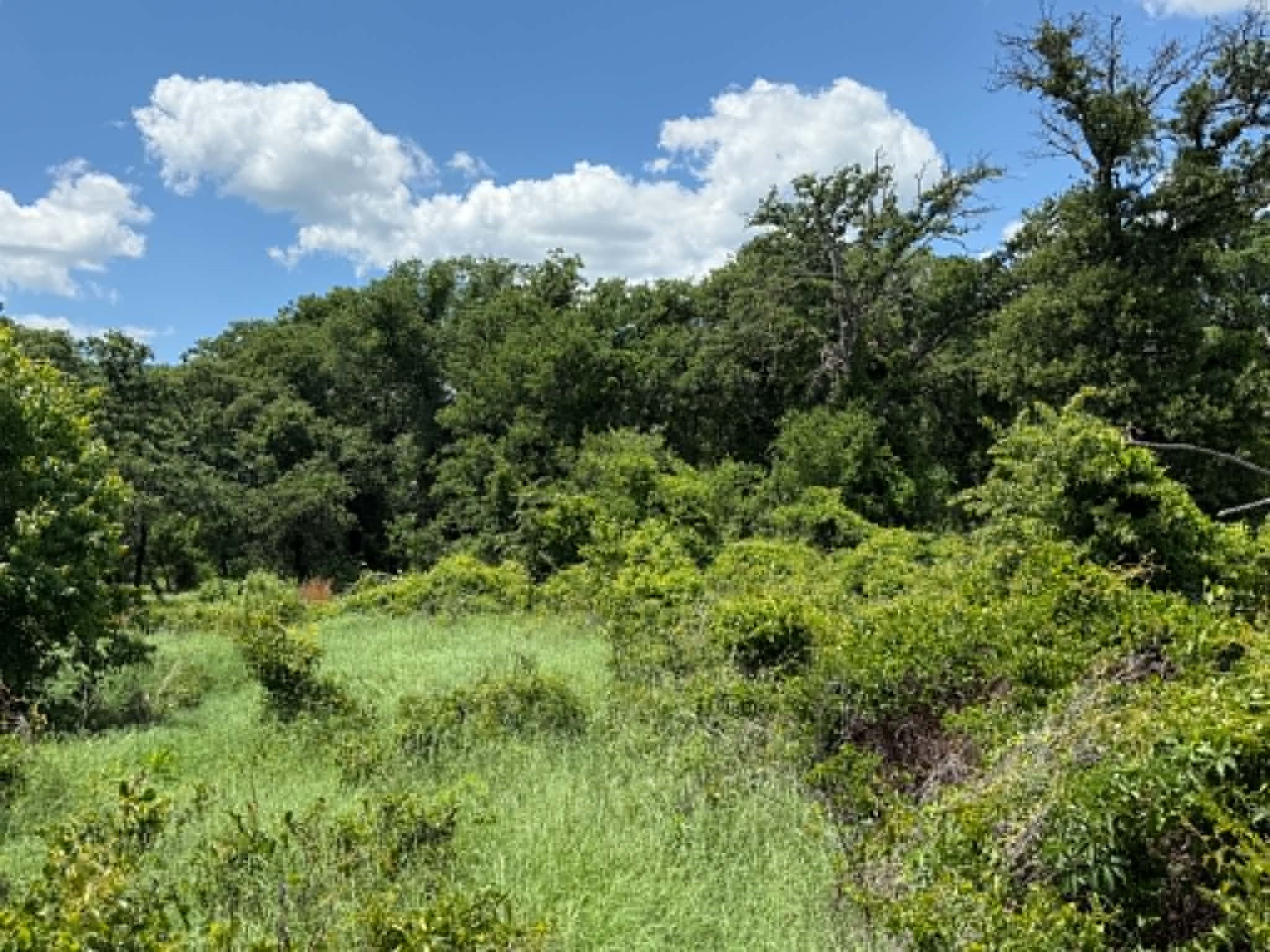 3068 Highway 36 Comanche TX 76442