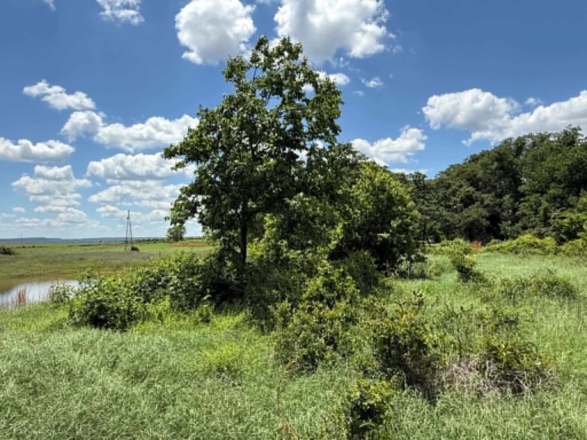 3068 Highway 36 Comanche TX 76442
