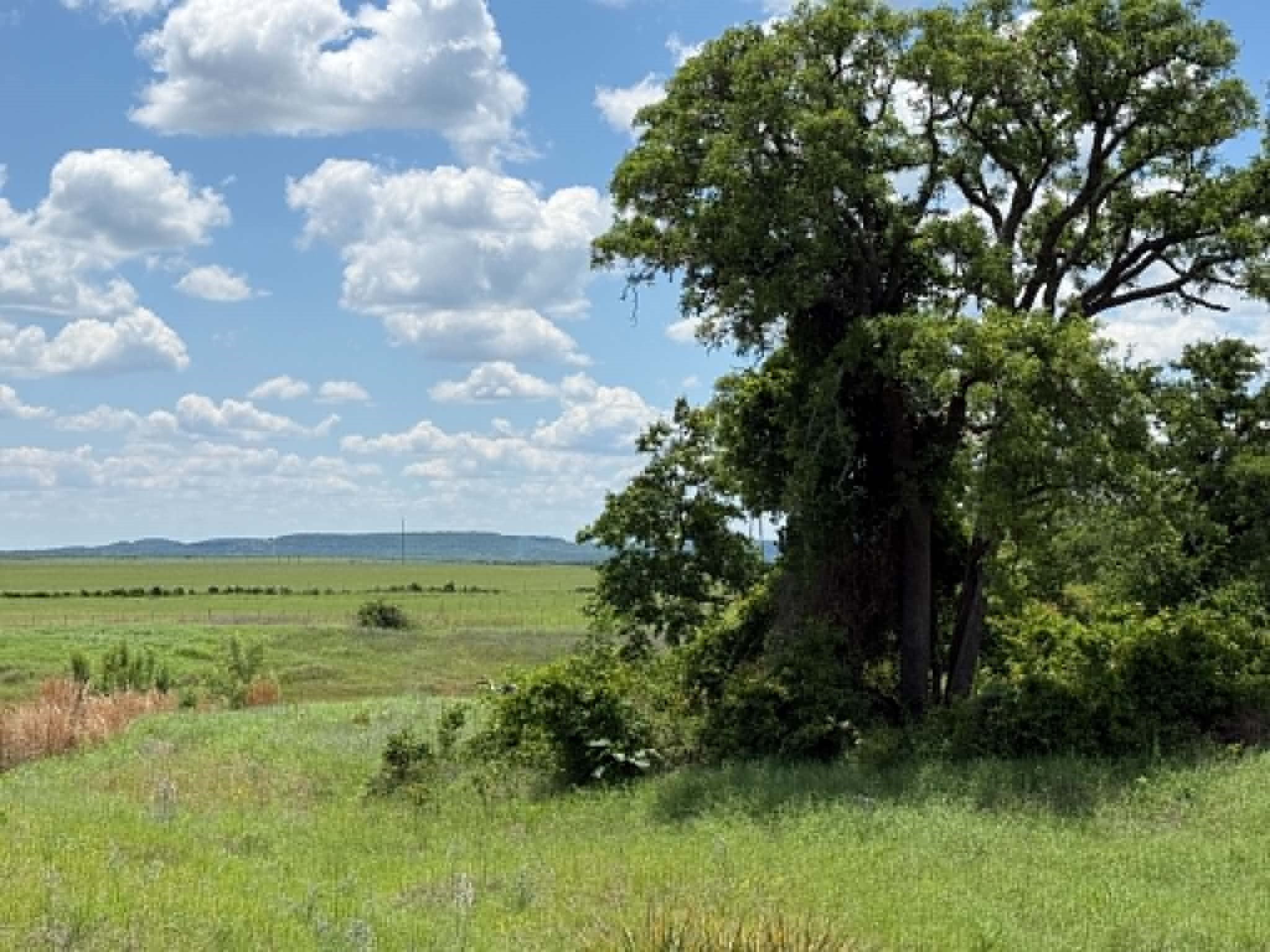 3068 Highway 36 Comanche TX 76442
