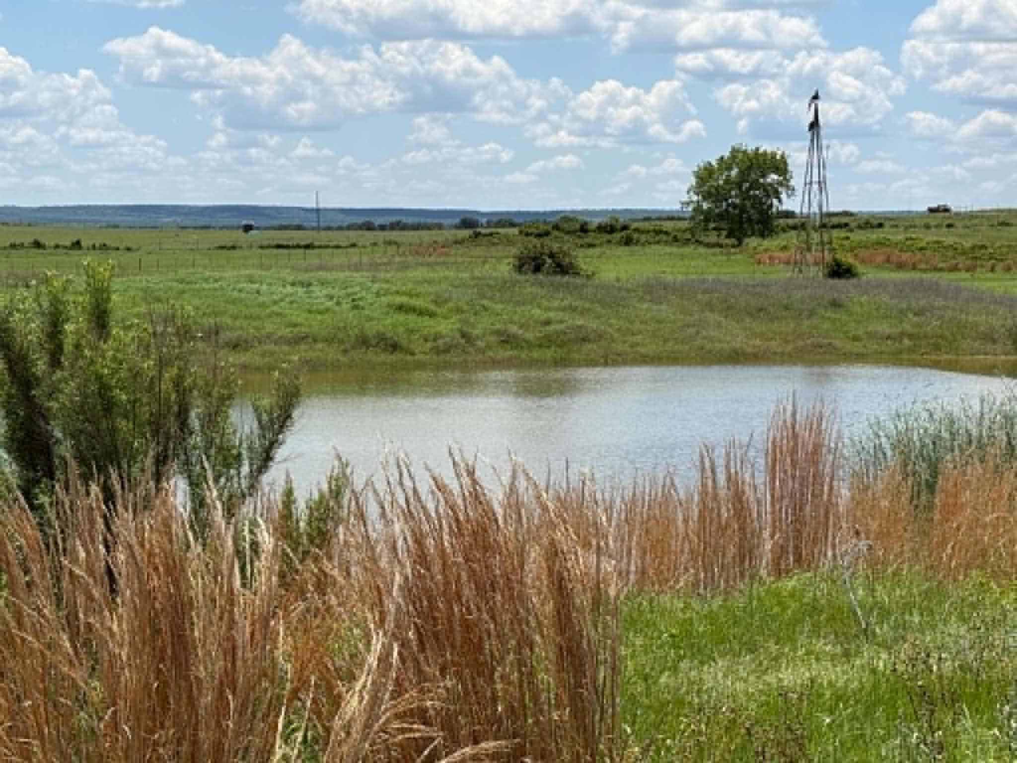 3068 Highway 36 Comanche TX 76442