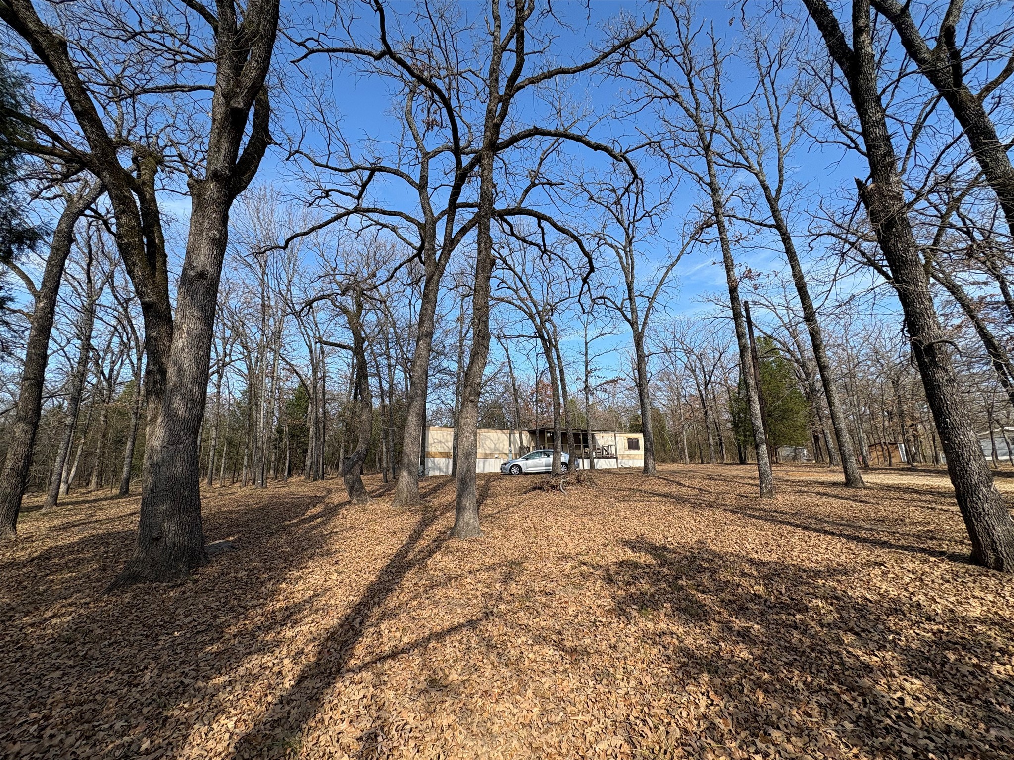 103 Elm Street Mabank TX 75156