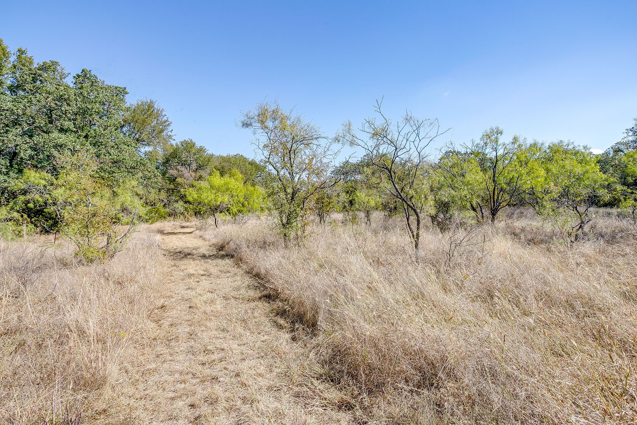 5878 Greenwood Road Millsap TX 76066