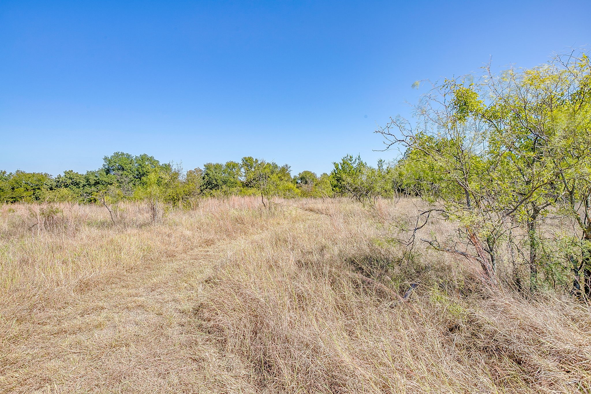5878 Greenwood Road Millsap TX 76066