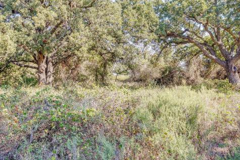 5878 Greenwood Road Millsap TX 76066