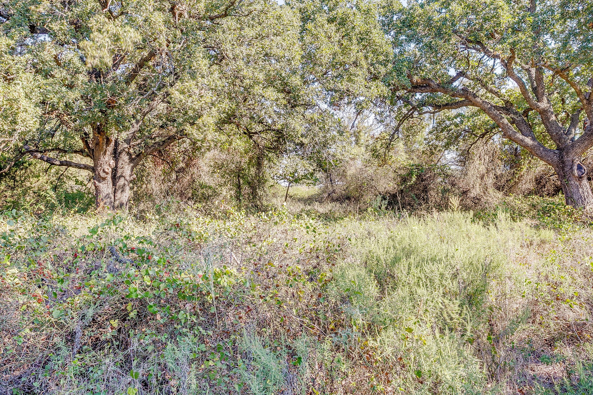 5878 Greenwood Road Millsap TX 76066