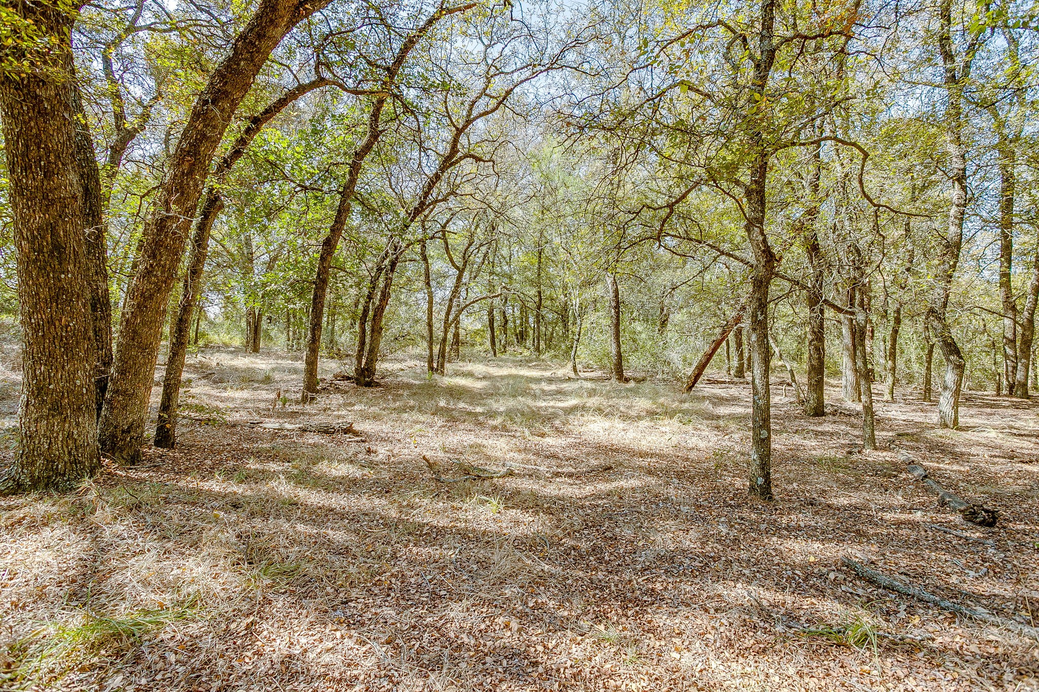 5878 Greenwood Road Millsap TX 76066