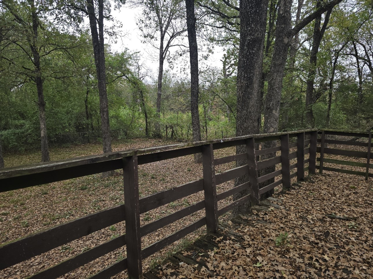 11288 Cedar Drive Mabank TX 75156