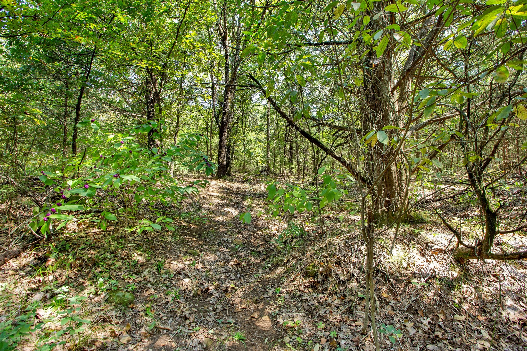 1793 Greer Sadler TX 76264