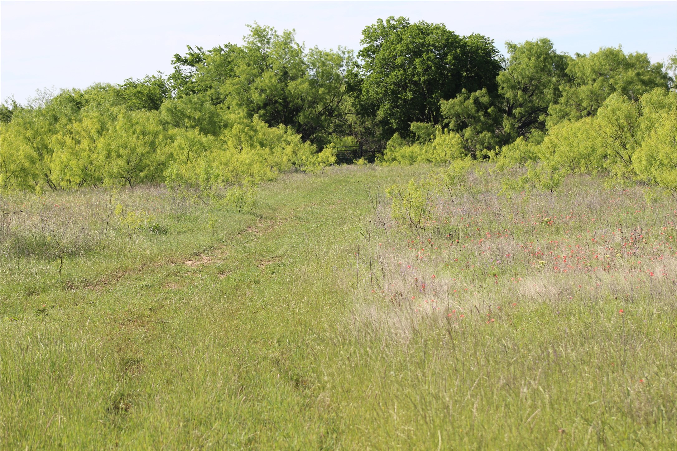 2077 A Shawver Road Perrin TX 76486