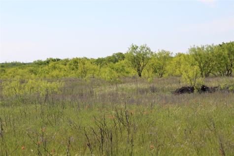 2077 A Shawver Road Perrin TX 76486