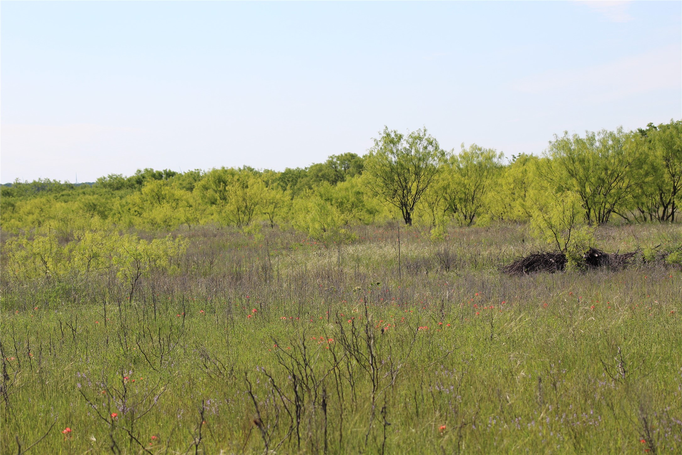 2077 A Shawver Road Perrin TX 76486