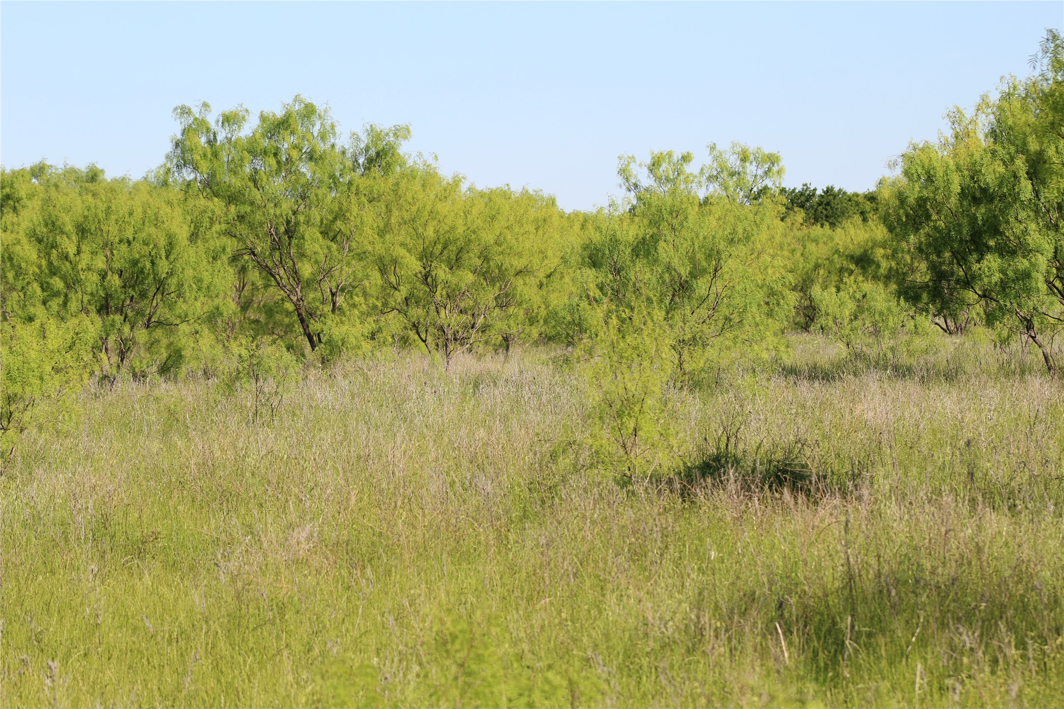 2077 A Shawver Road Perrin TX 76486