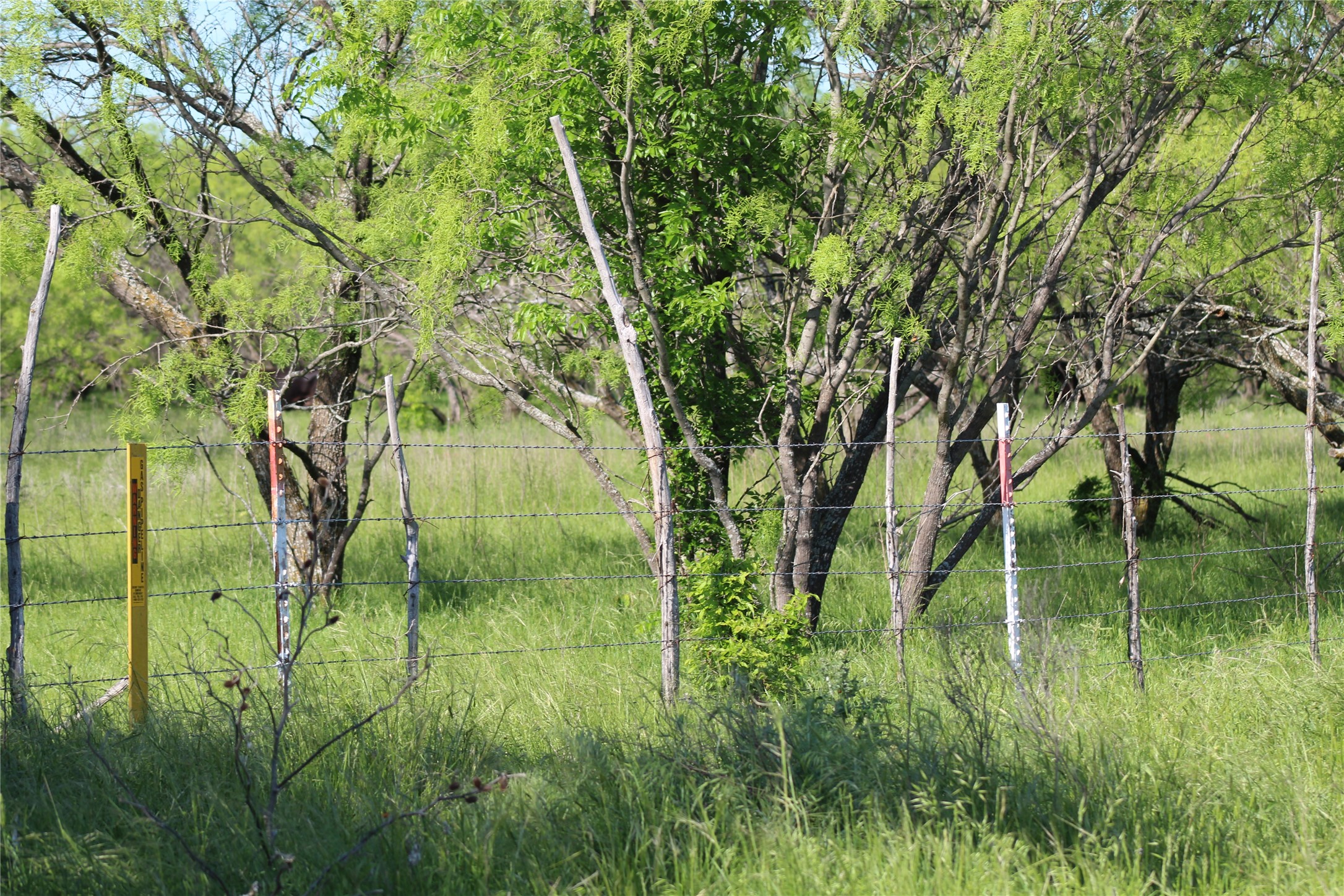 2077 A Shawver Road Perrin TX 76486