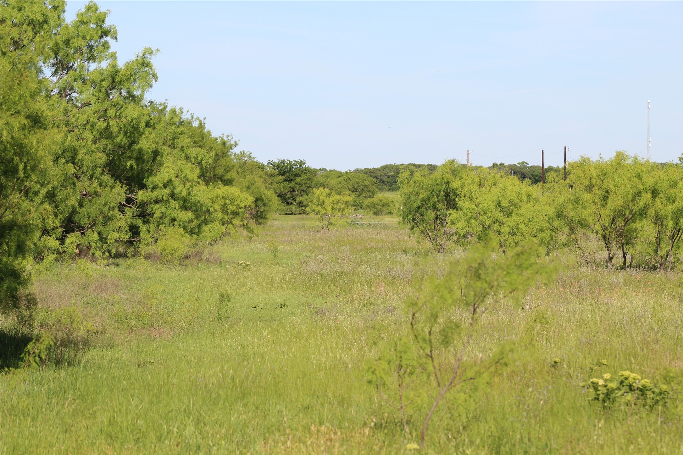 2077 A Shawver Road Perrin TX 76486