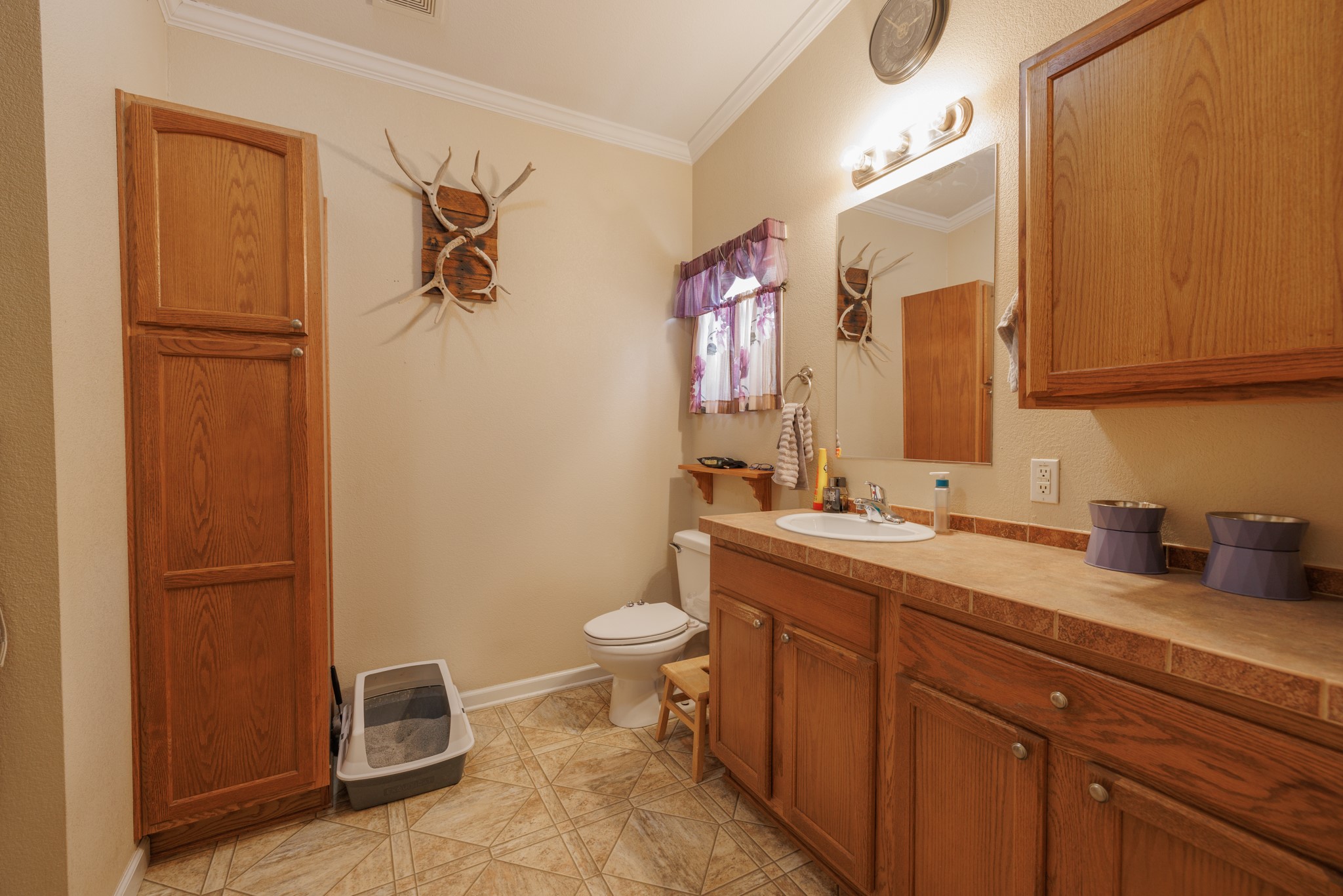 8378 County Road 358 Anson TX 79501