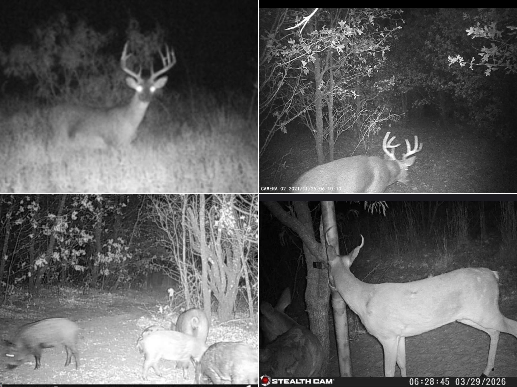 8378 County Road 358 Anson TX 79501
