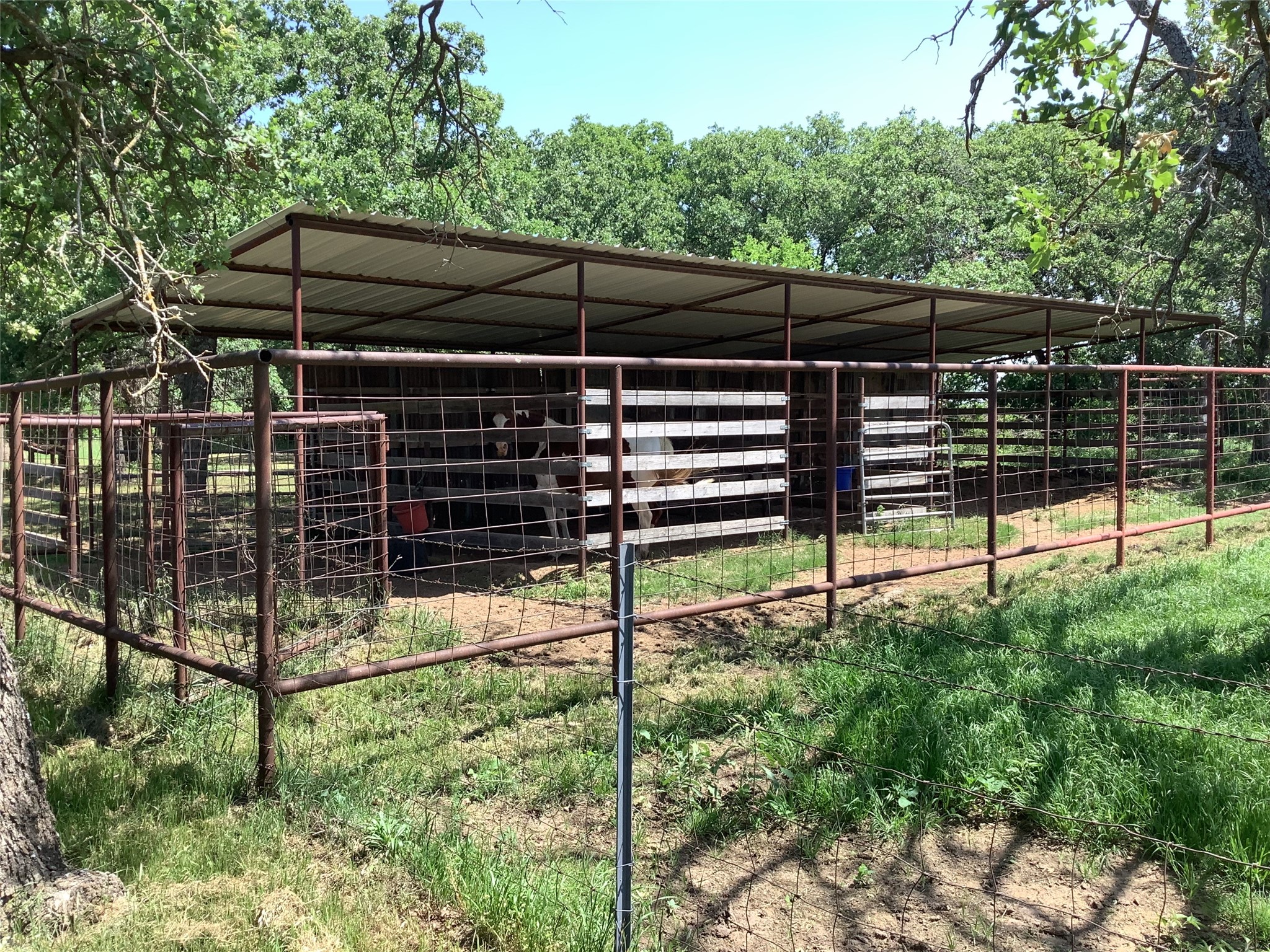 1625 County Road 281 Carbon TX 76435