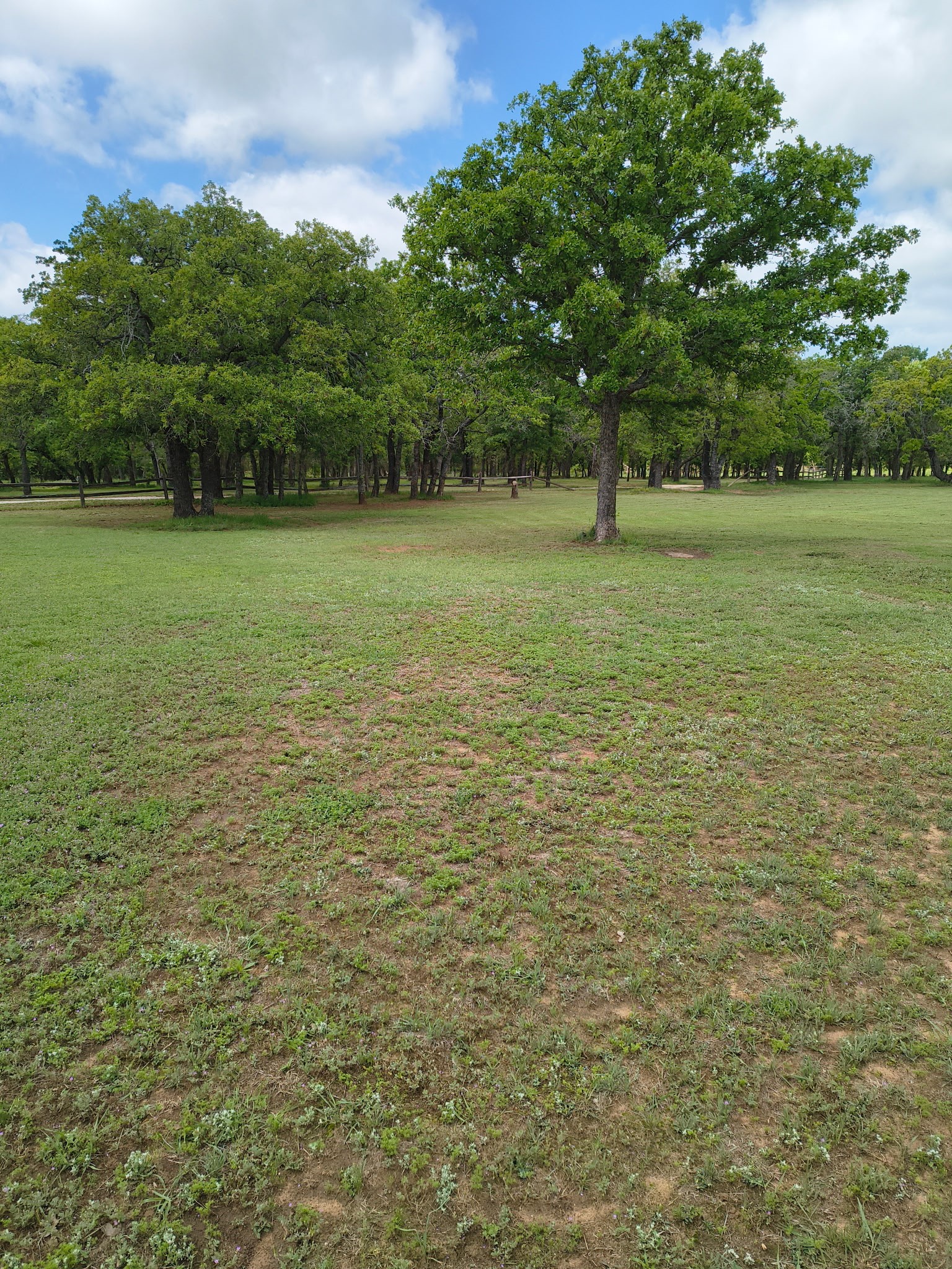 1625 County Road 281 Carbon TX 76435