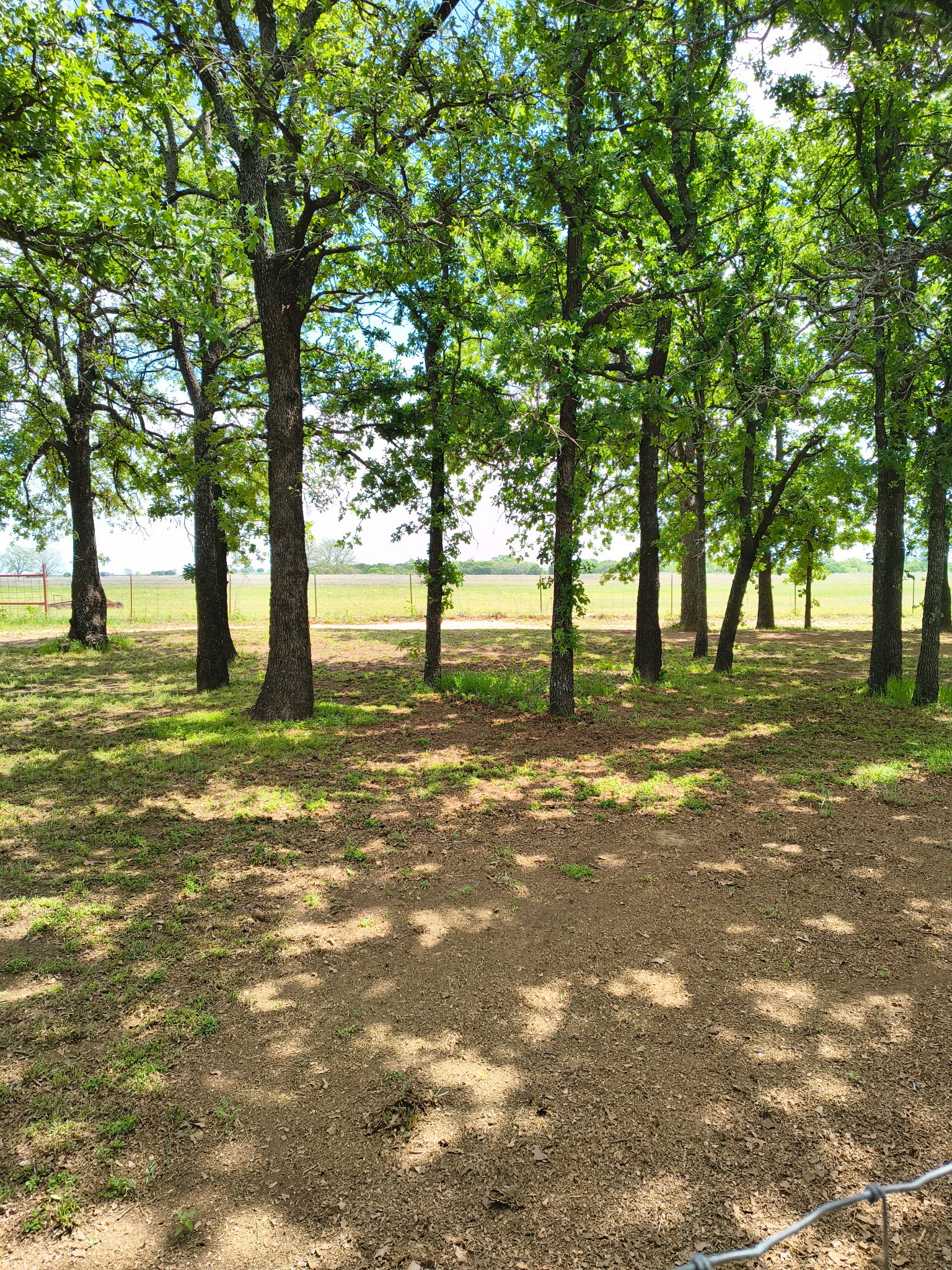1625 County Road 281 Carbon TX 76435
