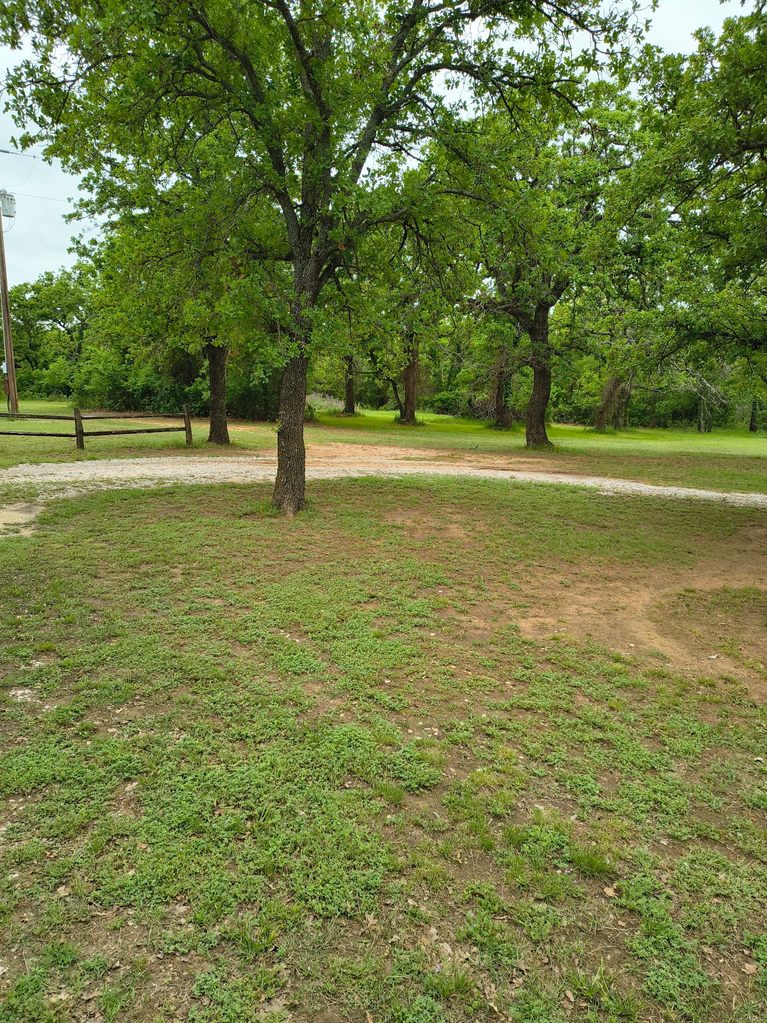 1625 County Road 281 Carbon TX 76435