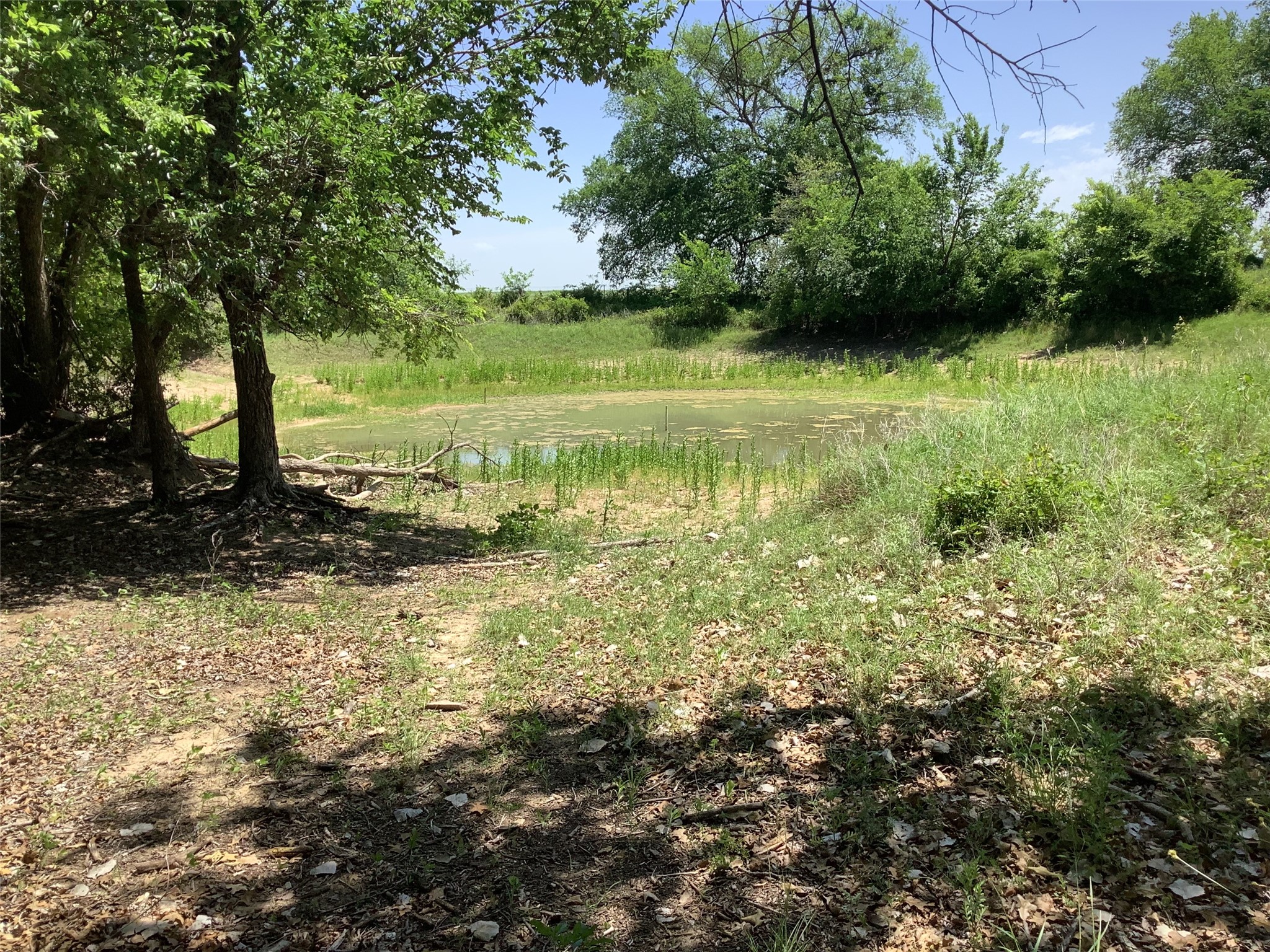 1625 County Road 281 Carbon TX 76435