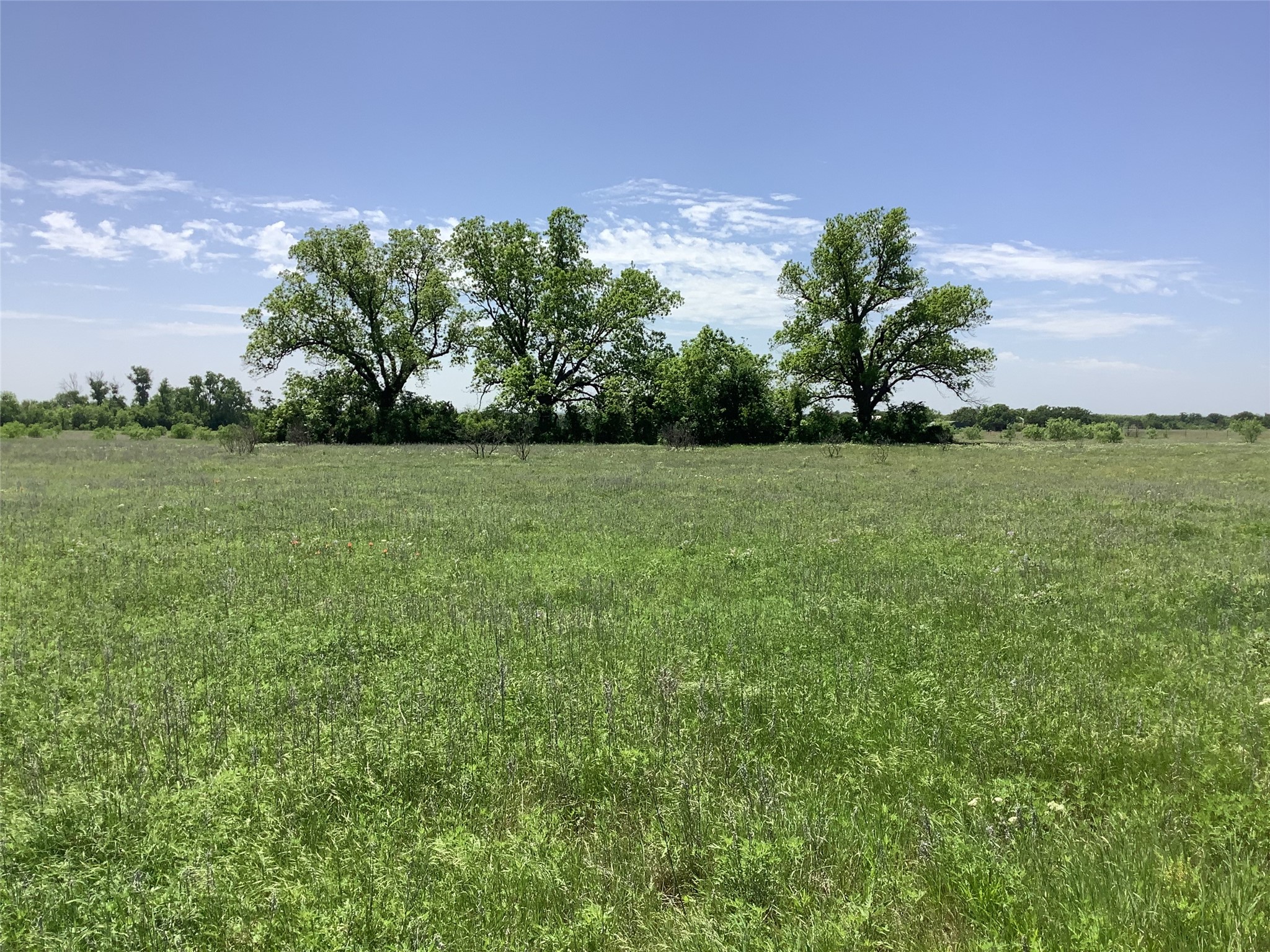 1625 County Road 281 Carbon TX 76435