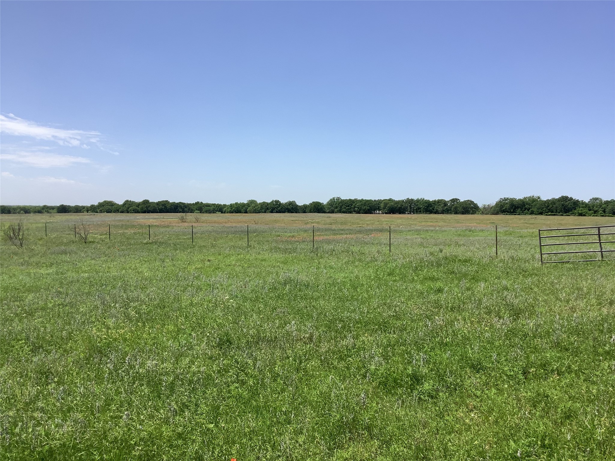 1625 County Road 281 Carbon TX 76435