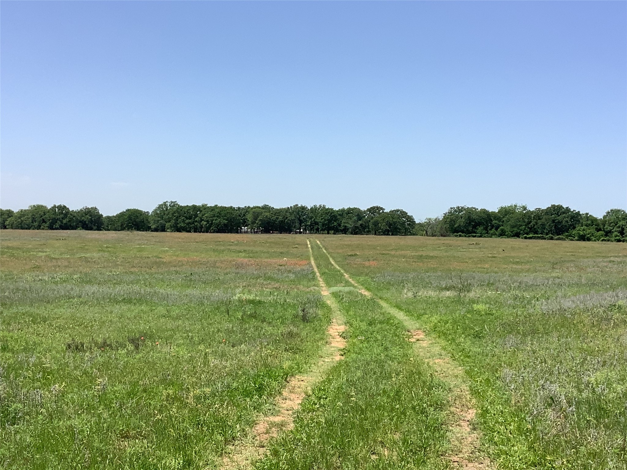 1625 County Road 281 Carbon TX 76435