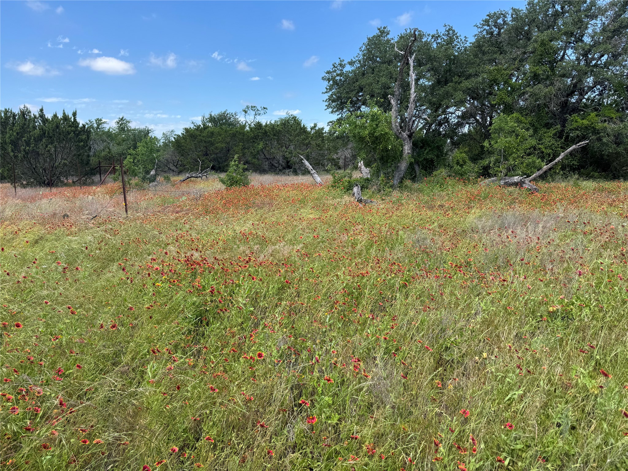 3233 Deer Path Lane Weatherford TX 76085