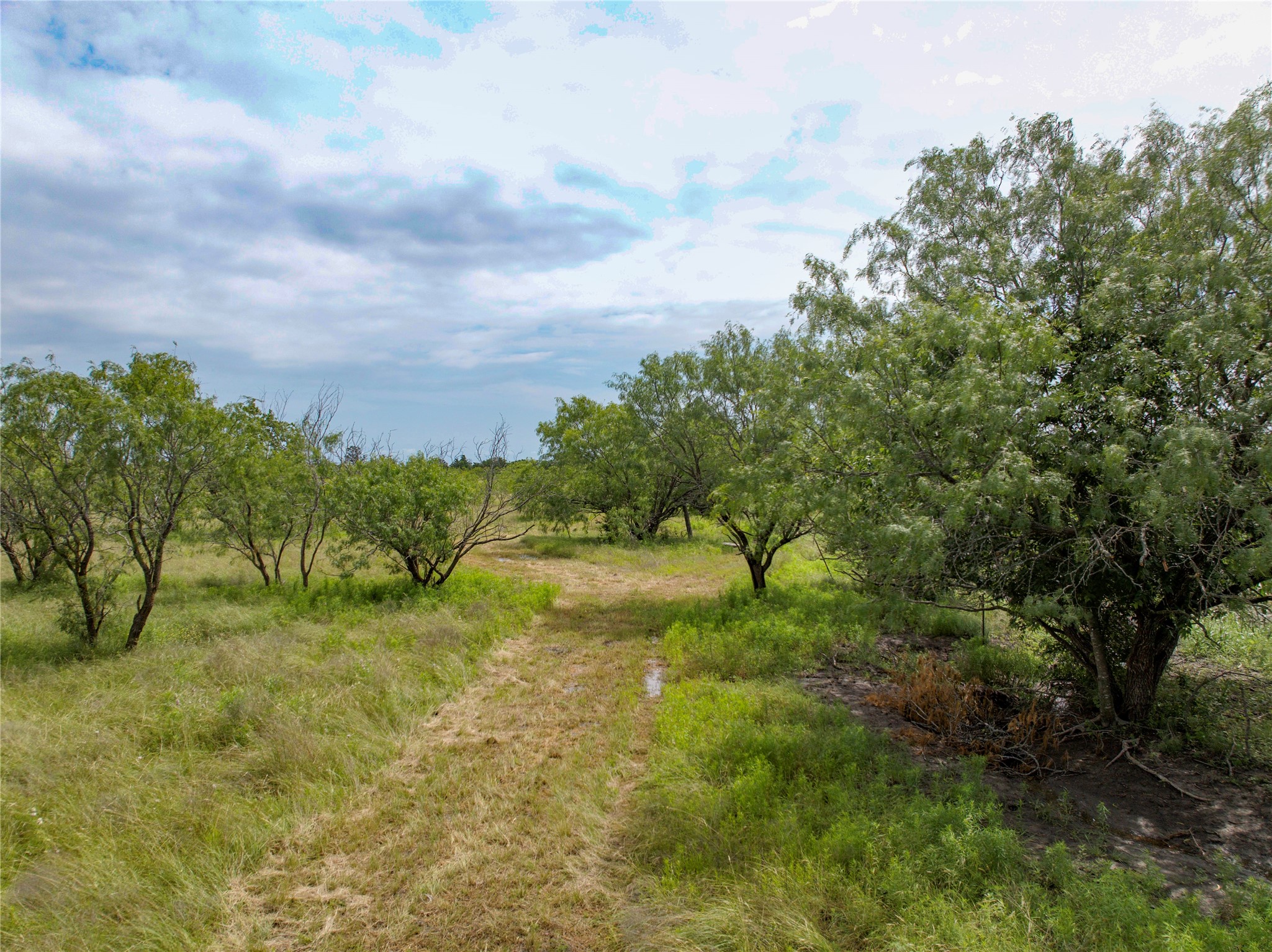 204 County Road 443 Chilton TX 76524