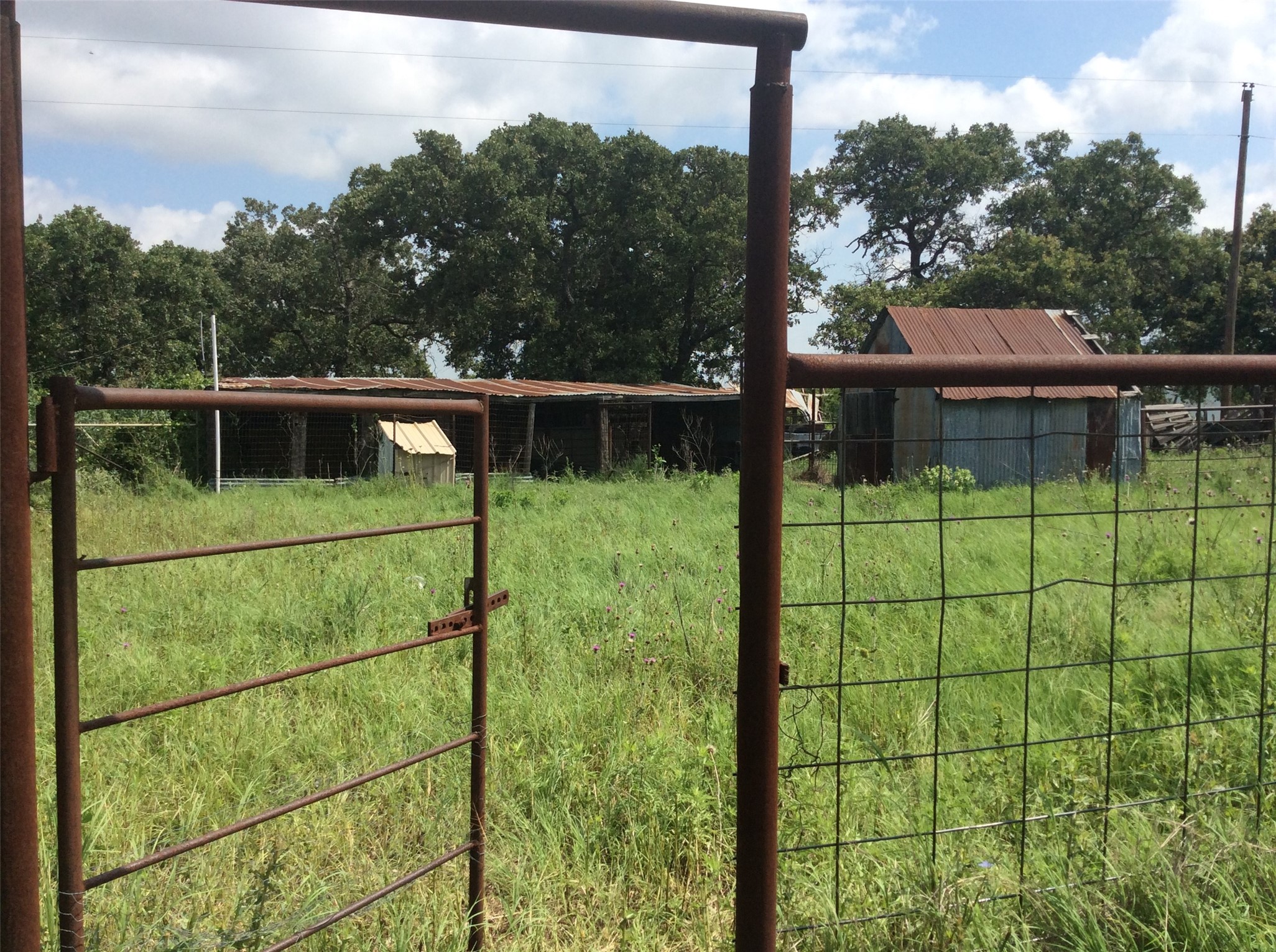 8762 Private Road 4641 Baird TX 79504