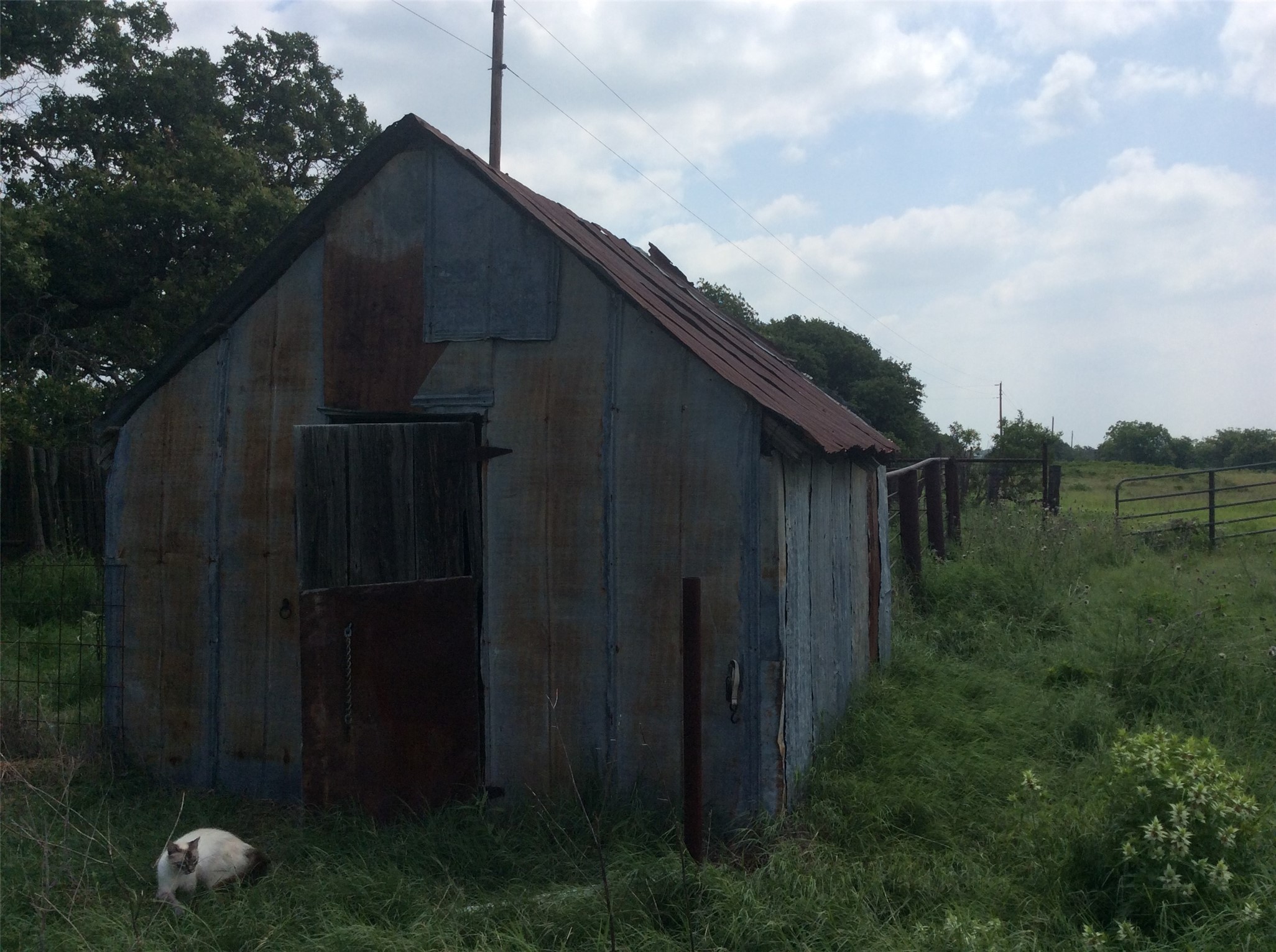 8762 Private Road 4641 Baird TX 79504