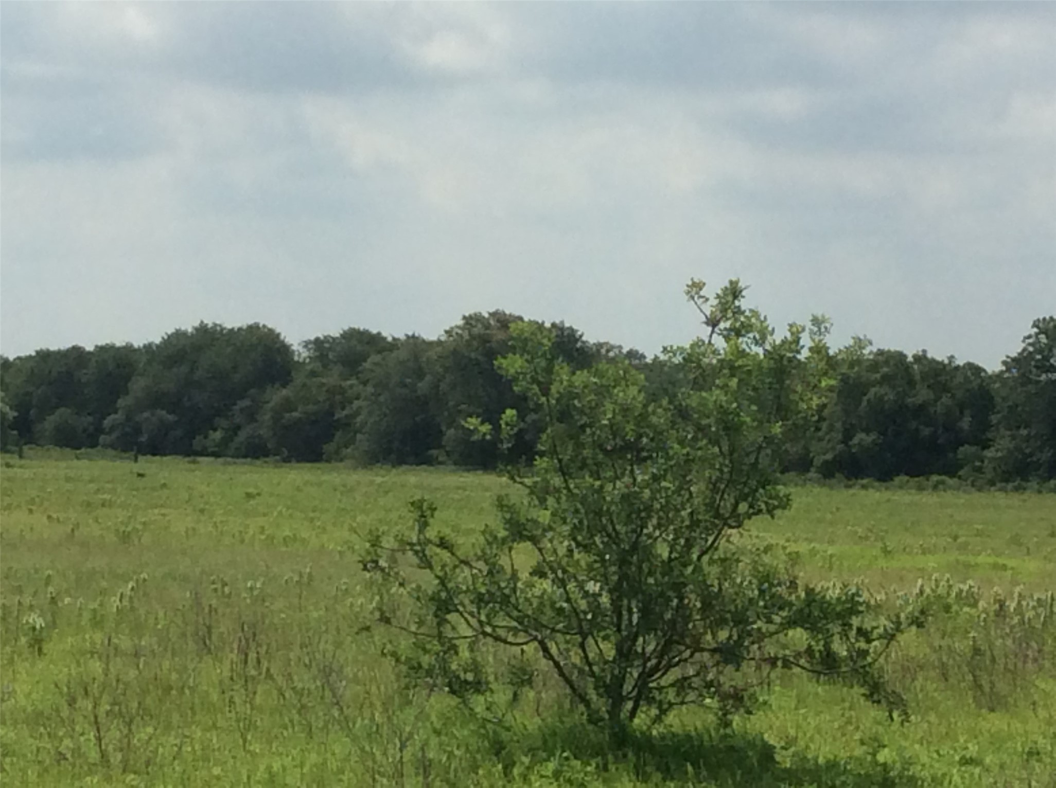 8762 Private Road 4641 Baird TX 79504