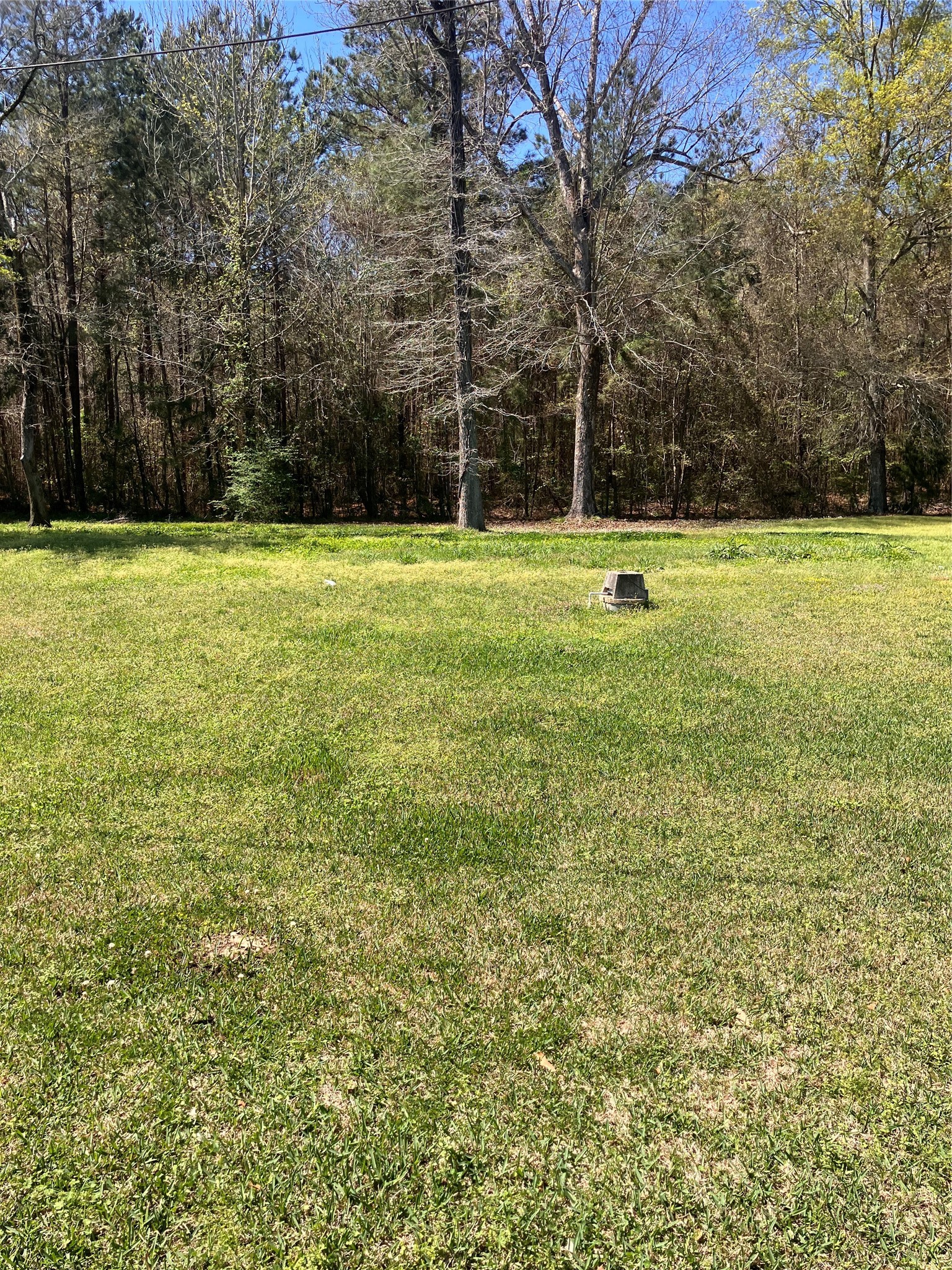 167 Luther Lane Frierson LA 71027