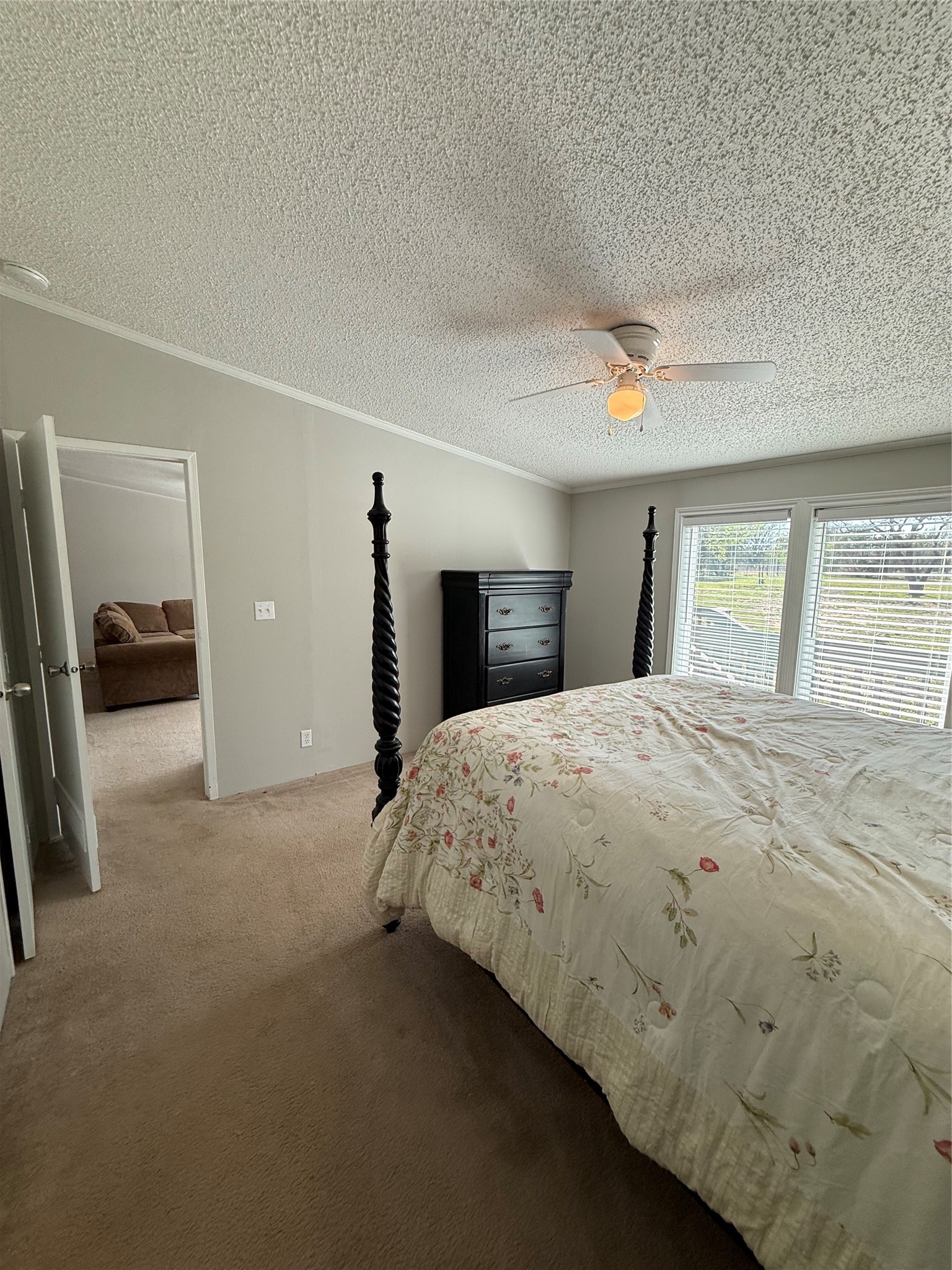 277 Oaks Crossing Mineral Wells TX 76067
